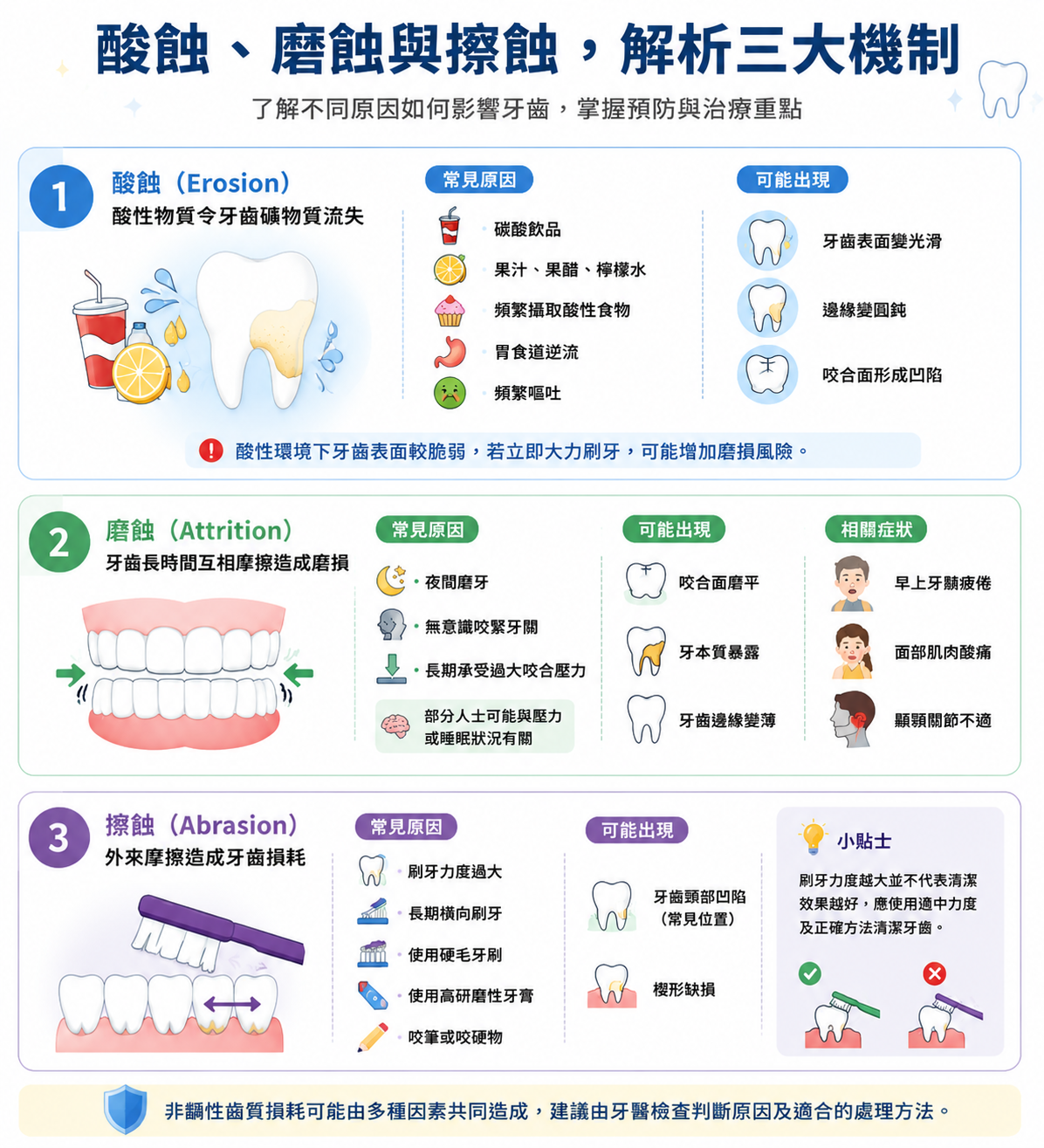 了解非齲性齒質損耗三大機制,包括酸蝕、磨蝕及擦蝕的形成原因、常見誘因及牙齒可能出現的變化。
